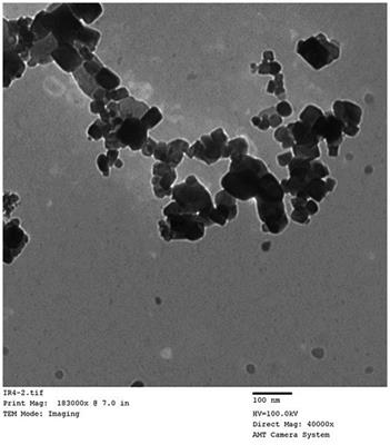 The effect of combining green iron nanoparticles and algae on the sustainability of broiler production under heat stress conditions